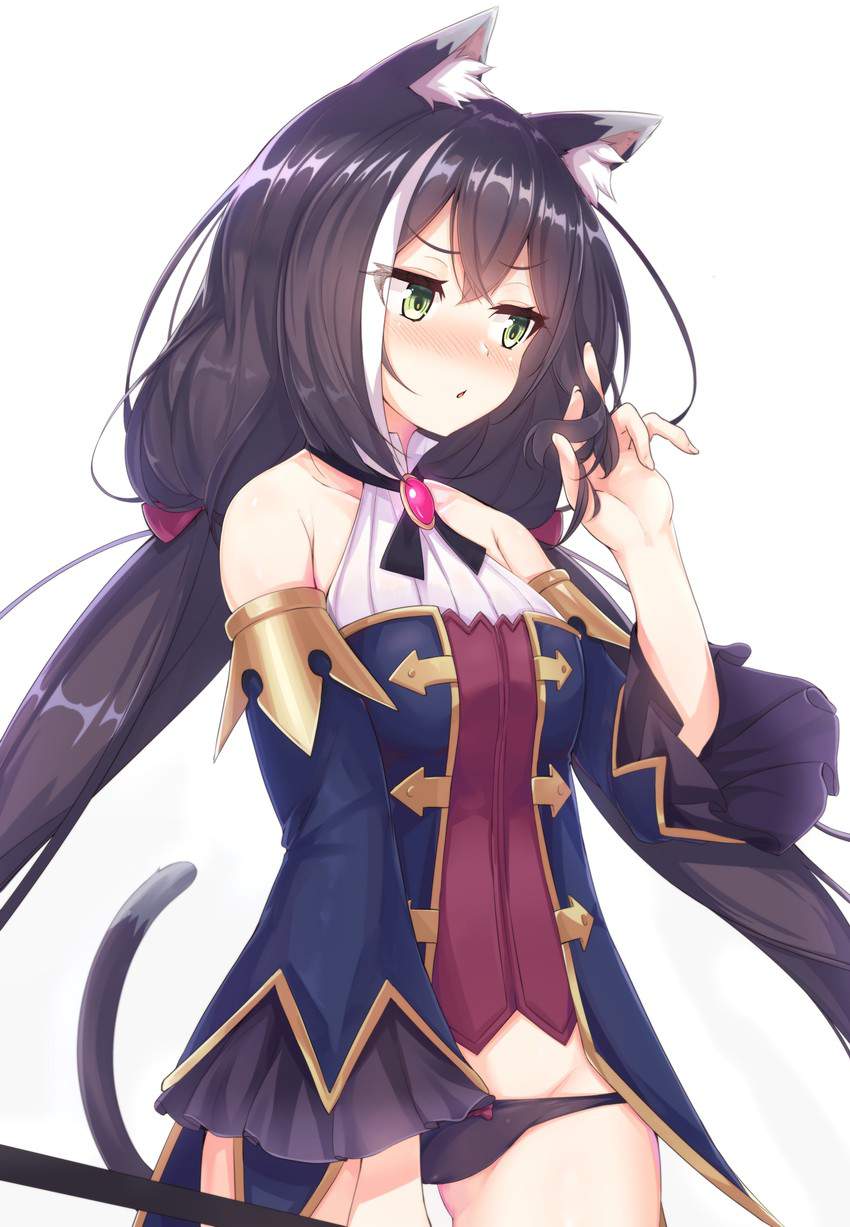 プリコネの猫耳美乳微ロリ少女14歳のキャルちゃんのかわいい姿がたまらん二次エロ画像-30