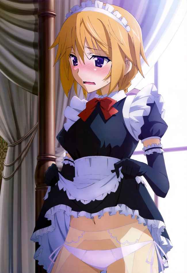 5月10日はメイドの日なのでメイドさんがパンツを恥ずかしそうにたくし上げて見せるお仕事の二次エロ画像-2