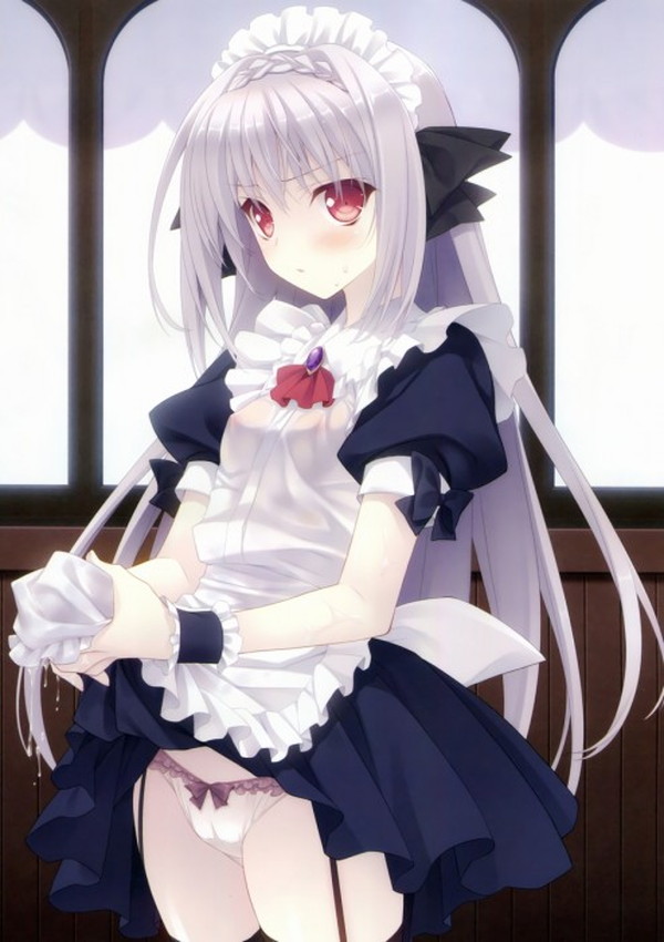 5月10日はメイドの日なのでメイドさんがパンツを恥ずかしそうにたくし上げて見せるお仕事の二次エロ画像-11