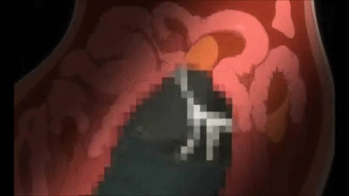 GIFアニメで断面図付きで出し入れされてるチンポの動きがよく見えちゃう美少女セックスGIFアニメ!-30