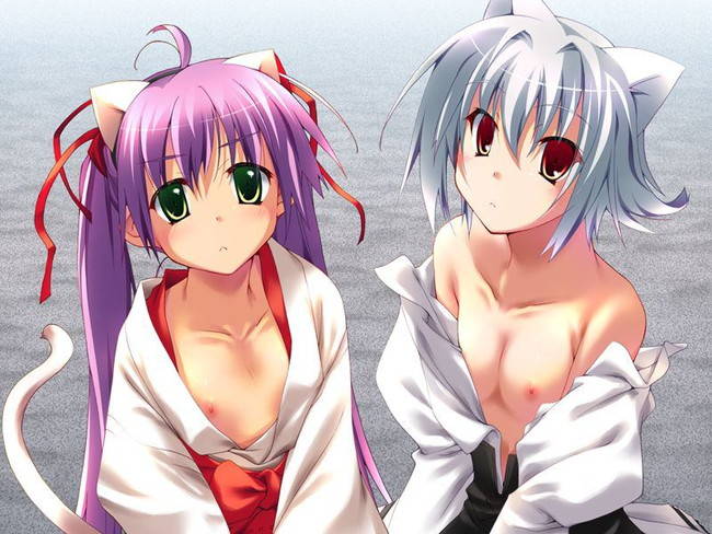 二次ロリ少女のいきなりパイ見せ！まったく育ってない貧乳ちっぱいを前を開いて見せつけてくる二次エロ画像-21