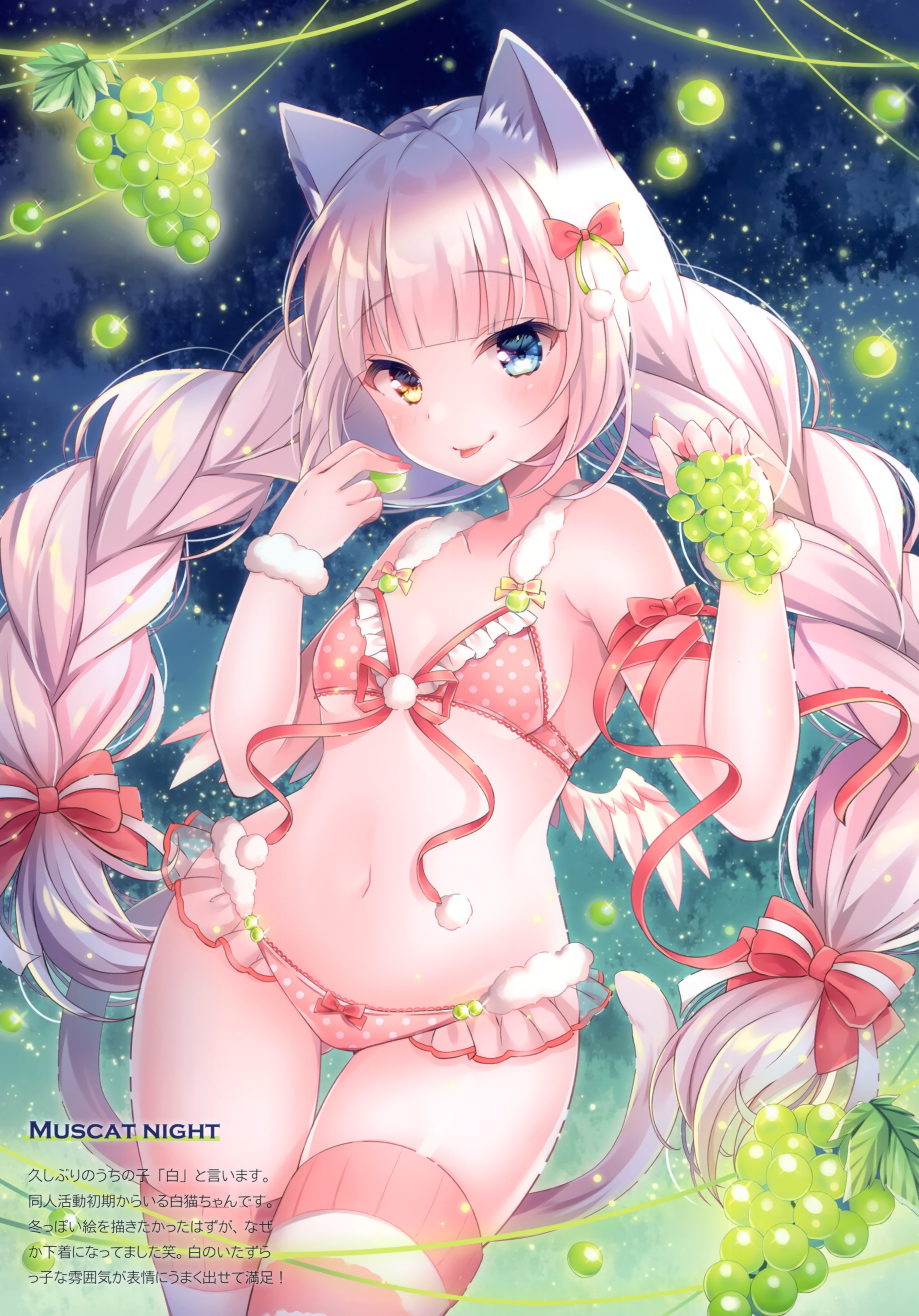 二次ロリ美乳少女のちっぱいを守るブラジャーが可愛いロリブラ下着姿の二次エロ画像-72