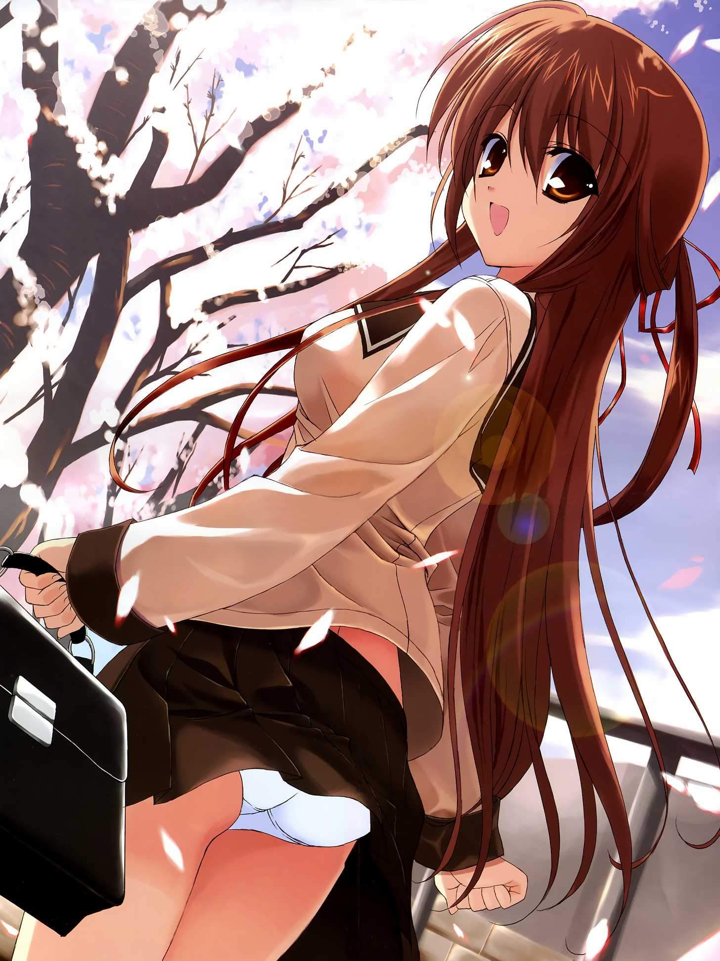 春一番の風邪で桜吹雪とともにスカート舞ってる風のいたずらスカートめくられ二次エロ画像-26