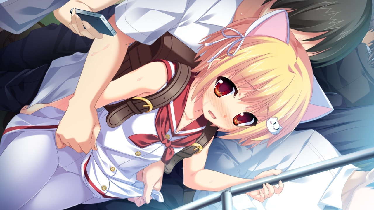 私立小学校？中学校？に通うJSやJCが電車に乗ってると触りたくなってしまう危険なロリ痴漢二次エロ画像-36